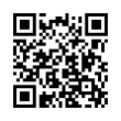 QR Code (код быстрого отклика)