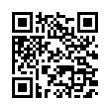 QR Code (код быстрого отклика)