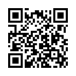 QR Code (код быстрого отклика)